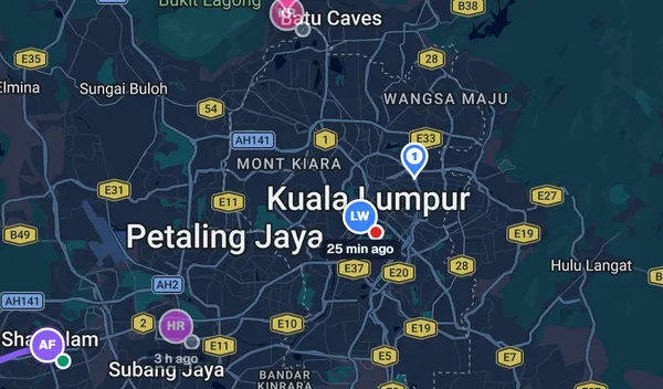 The real live map in DUMO LOGISTIC: drivers, their stops and road routes around Kuala Lumpur (sample data)
